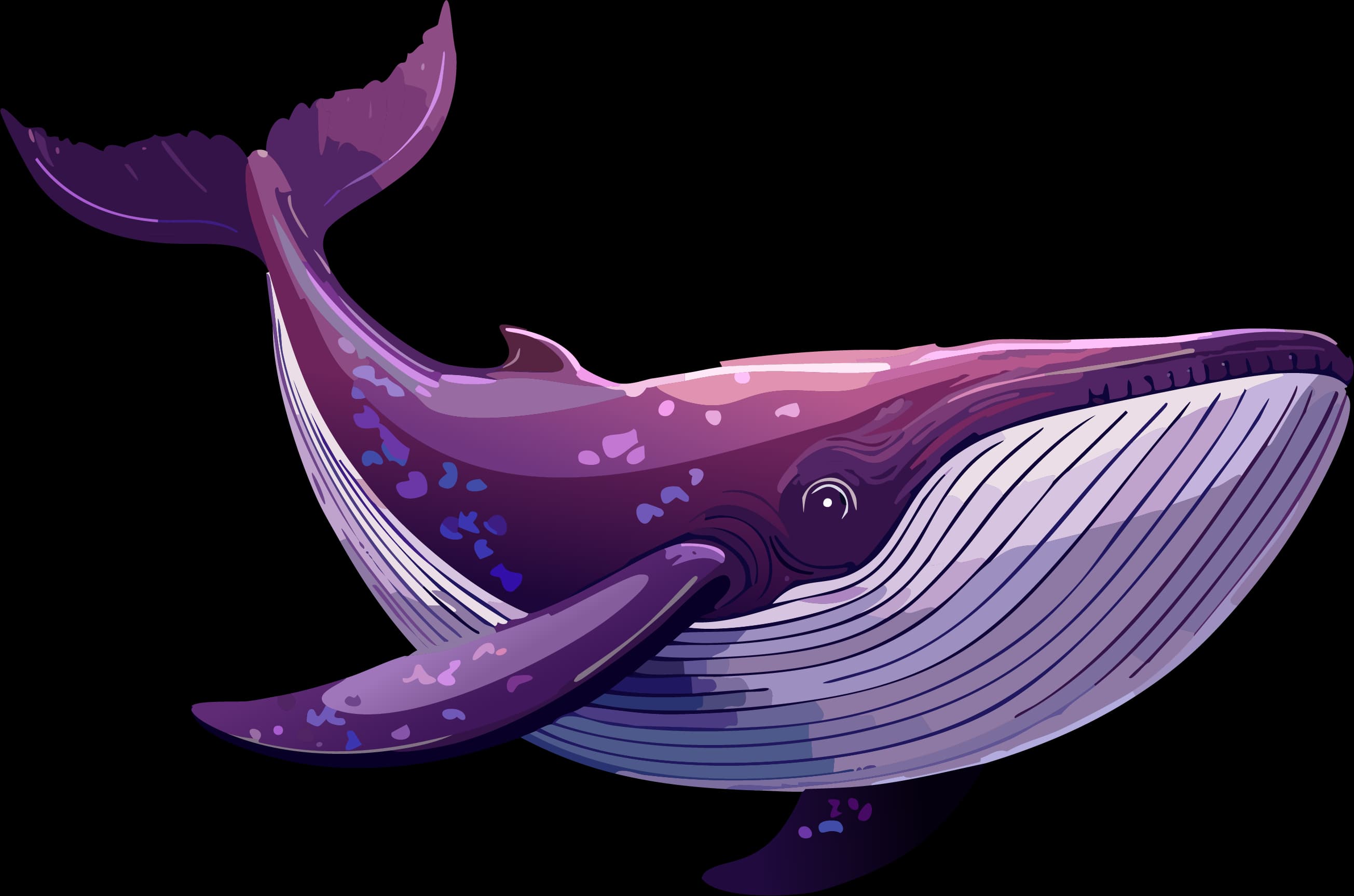 Whale